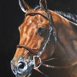 Thoroughbred II by Daniel Magidson