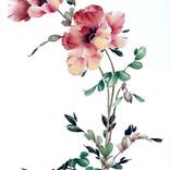 Chinese Painting Poppy Anemone by Mayee Futterman