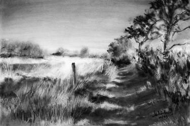 Original Abstract Expressionism Nature Drawing by SéBastien Jacqmin