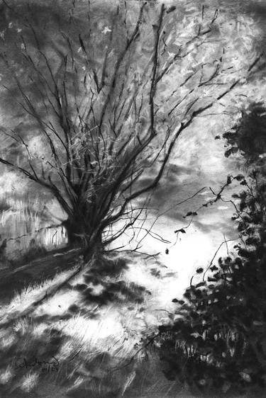 Original Figurative Nature Drawing by SéBastien Jacqmin