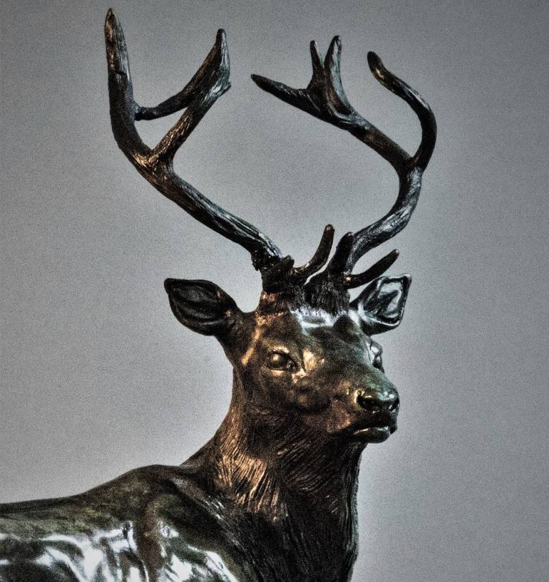 Original Figurative Animal Sculpture by Adrian Flanagan