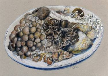 Print of Fine Art Food Drawings by Jan Ruby-Crystal