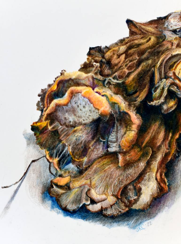 Original Contemporary Still Life Drawing by Jan Ruby-Crystal