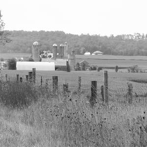 Collection Waterloo Region Rural Landscape Photography