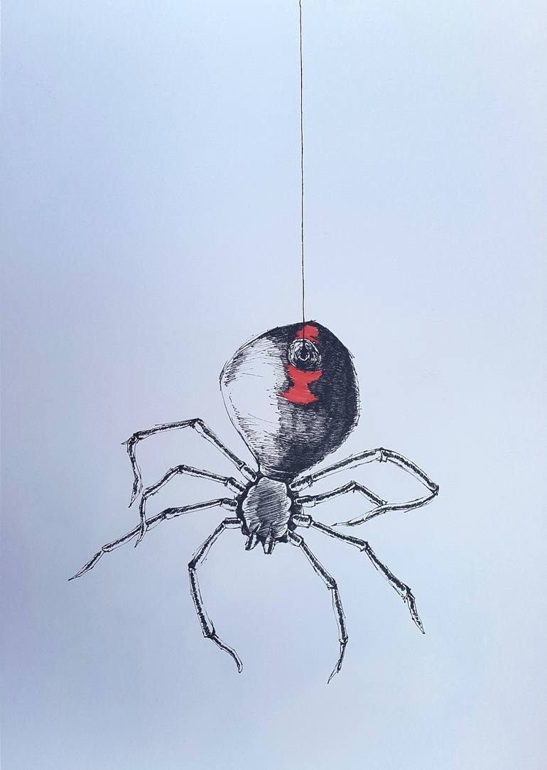 black widow spider drawing