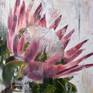 This collection of protea paintings fall in line with my recent exploration of South Africa as they're the national flower of the country.