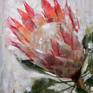 This collection of protea paintings fall in line with my recent exploration of South Africa as they're the national flower of the country.