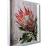 This collection of protea paintings fall in line with my recent exploration of South Africa as they're the national flower of the country.