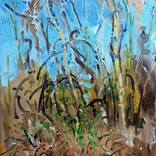 Collection Landscapes