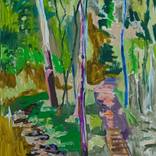 Collection Landscapes