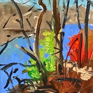 Collection Landscapes