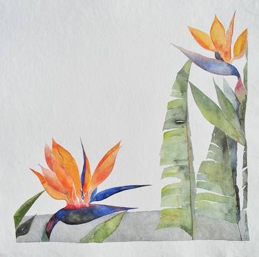 Original Fine Art Botanic Paintings by Adriana Samora