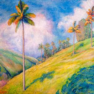 Light Over San Vicente Hills
