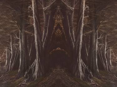 Into the dark woods - Limited Edition of 15 thumb