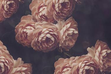 Print of Floral Photography by marina de wit