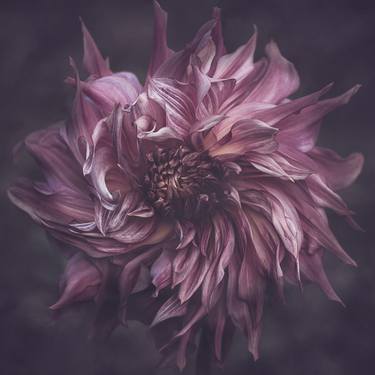 Print of Fine Art Floral Photography by marina de wit