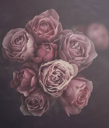 Print of Floral Photography by marina de wit