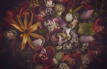 Print of Fine Art Botanic Photography by marina de wit