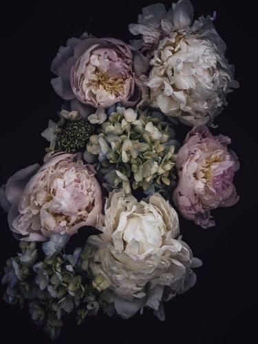 Peonies & Hydrangea - Limited Edition of 15 thumb