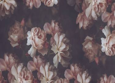 Print of Floral Photography by marina de wit