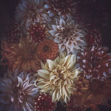 Print of Fine Art Botanic Photography by marina de wit