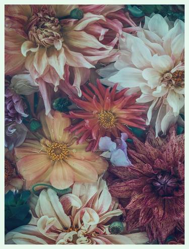 Print of Fine Art Floral Photography by marina de wit