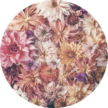 Print of Floral Photography by marina de wit