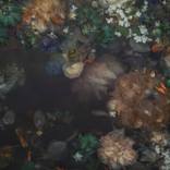 Submerged by marina de wit