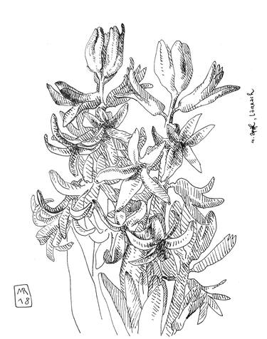Print of Figurative Floral Drawings by Mascha Rodigina