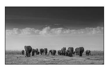 Elephants Under Kilimajaro - Limited Edition 2 of 25 thumb