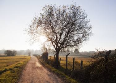 Print of Fine Art Rural life Photography by nelson silva