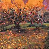 Leaf Fall by Tatiana An