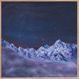 Collection Landscapes