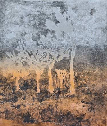 Print of Documentary Tree Printmaking by Stewart Taylor