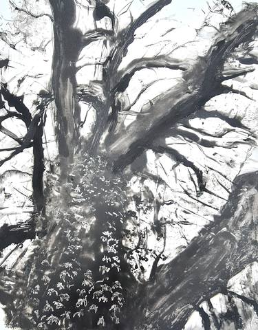 Original Expressionism Tree Printmaking by Stewart Taylor
