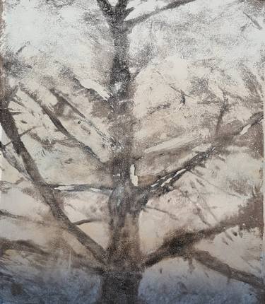 Print of Documentary Tree Printmaking by Stewart Taylor