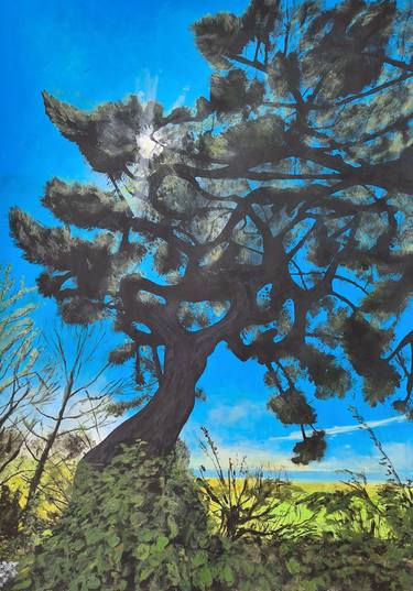 Print of Fine Art Tree Printmaking by Stewart Taylor