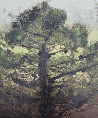 Print of Fine Art Tree Printmaking by Stewart Taylor