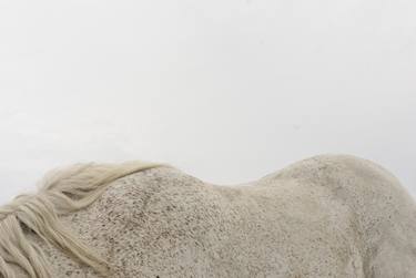 White Horseback - Limited Edition 1 of 25 thumb