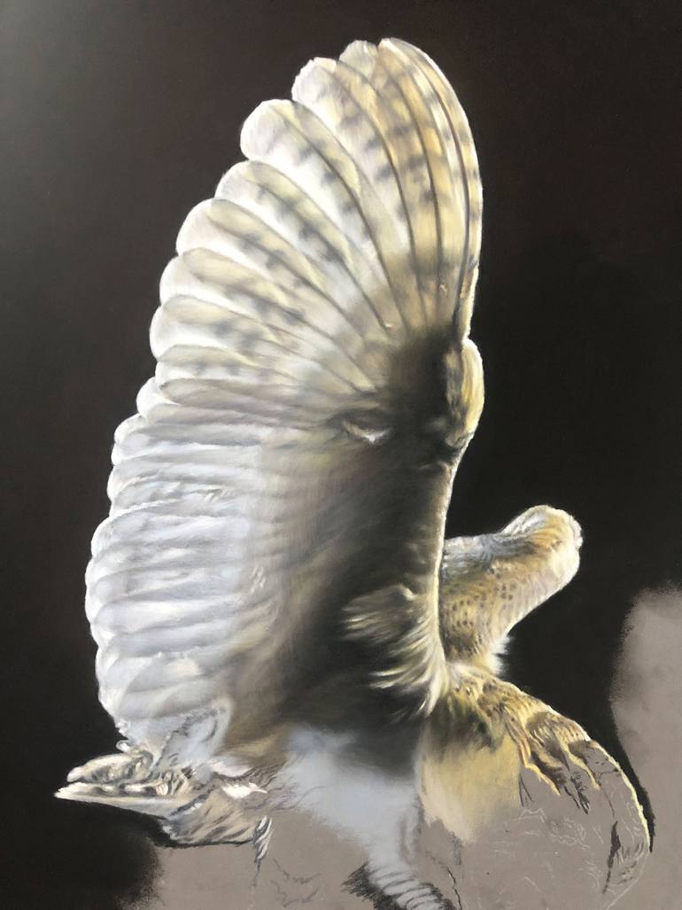 Original Realism Animal Drawing by Olga Kaydash