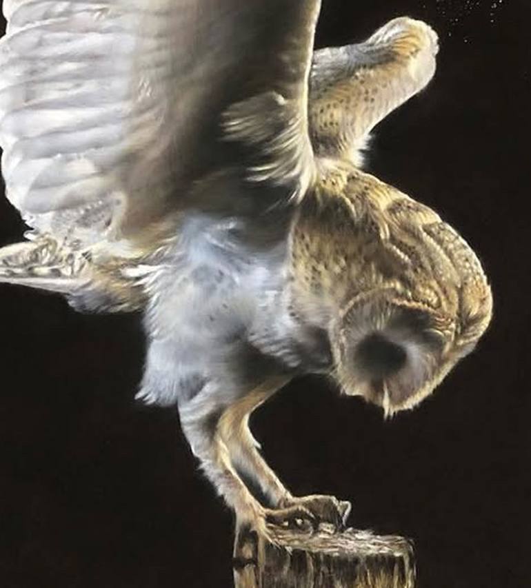 Original Realism Animal Drawing by Olga Kaydash