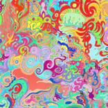 Collection Sensory