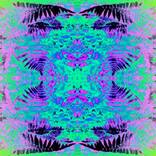 Collection Sensory