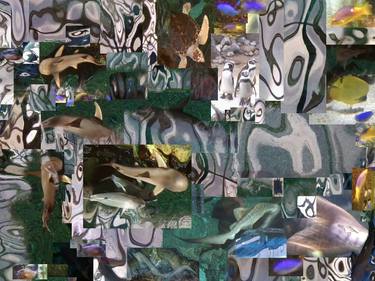 Original Modern Nature Collage by Julia Woodman