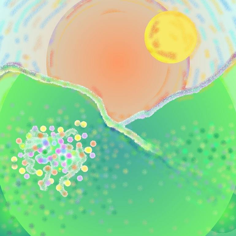 View in a Room Artwork