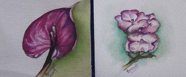 Original Floral Paintings by BRIDGET PATERSON