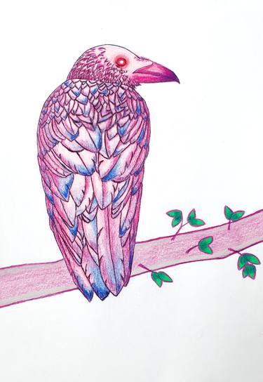 The  Pink Crow thumb