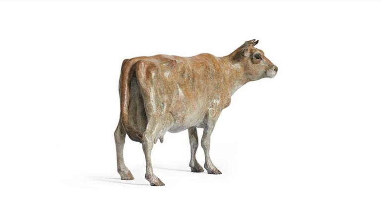 Original Other Animal Sculpture by Helen Gordon