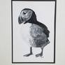 A black and white representation of a puffin.
An original piece of artwork inspired by my love of nature and the use of monochrome to represent my subjects.
The artwork comes double mounted, as seen in the pictures.
The dimensions include the mount.