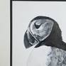 A black and white representation of a puffin.
An original piece of artwork inspired by my love of nature and the use of monochrome to represent my subjects.
The artwork comes double mounted, as seen in the pictures.
The dimensions include the mount.